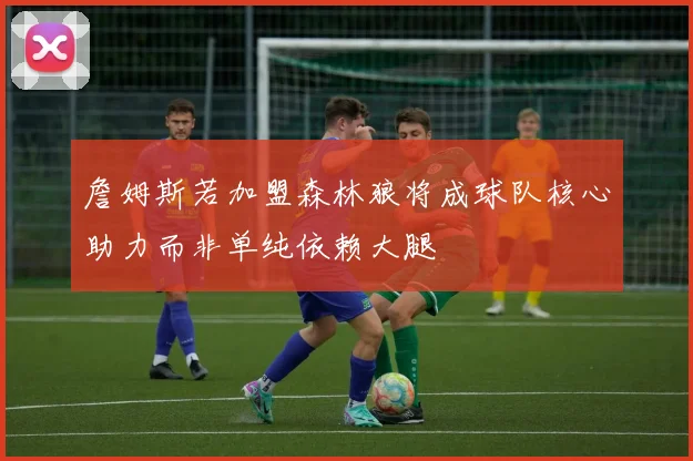 詹姆斯若加盟森林狼将成球队核心助力而非单纯依赖大腿